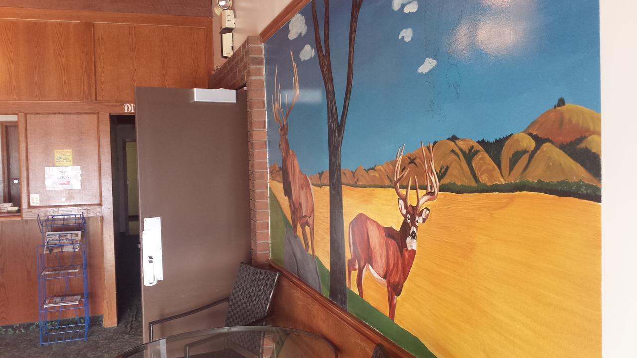 Maple Creek Motor Inn Екстериор снимка